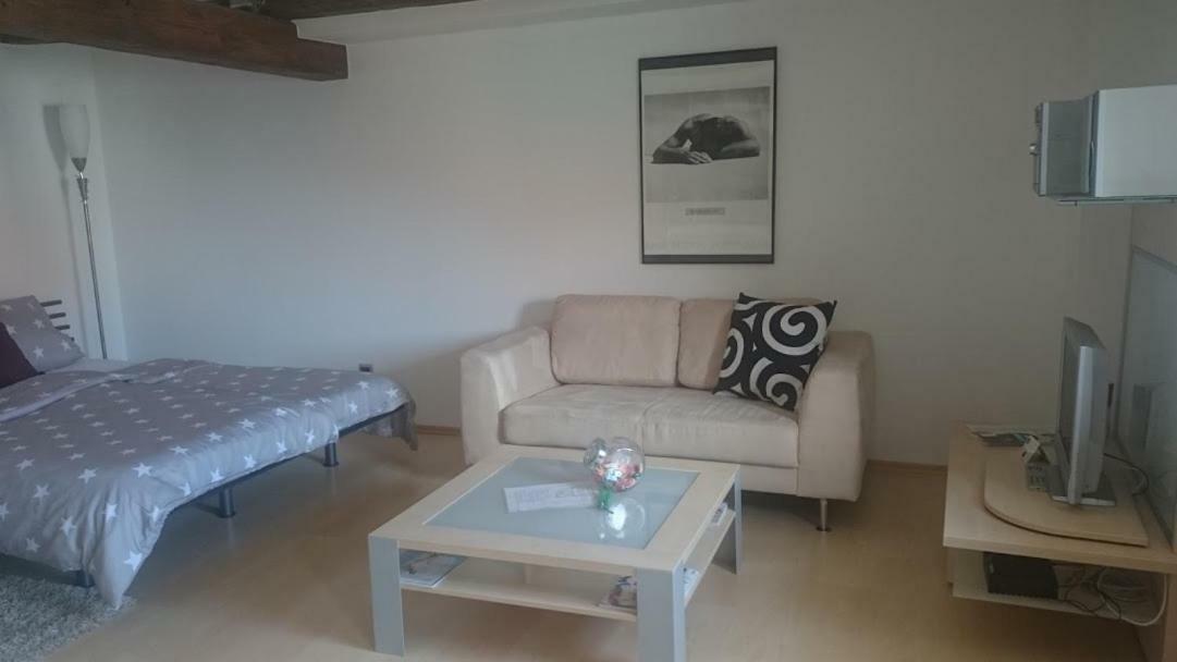 Apartment Regensburg Oda fotoğraf